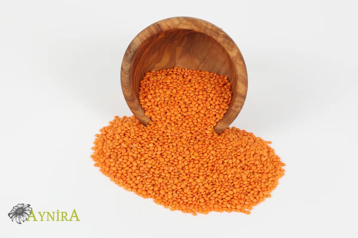Red Lentils